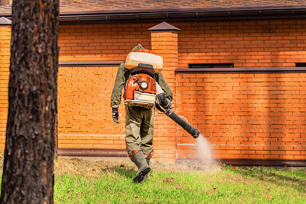 Trusted Termite Control service in Clintwood, VA - Nex Pest Control